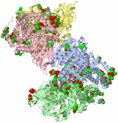 Image Asym. Unit - sites