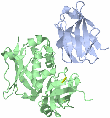 Image Biological Unit 1