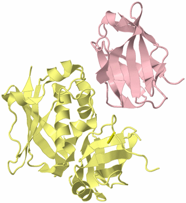 Image Biological Unit 2