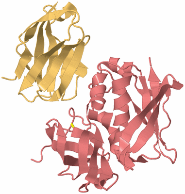 Image Biological Unit 4