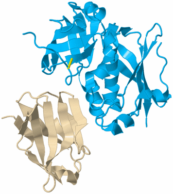 Image Biological Unit 5