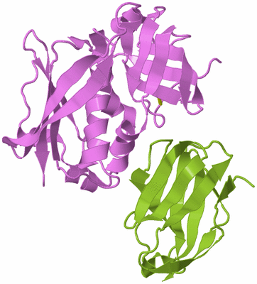 Image Biological Unit 7