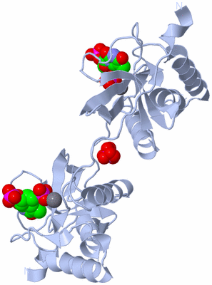 Image Biological Unit 1