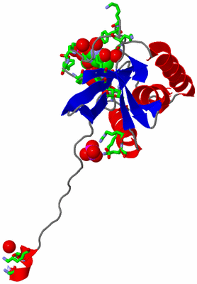 Image Asym. Unit - sites