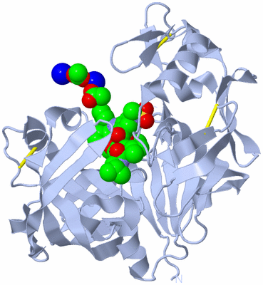Image Biological Unit 1