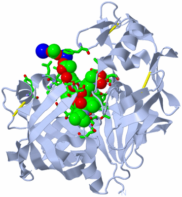 Image Biol. Unit 1 - sites