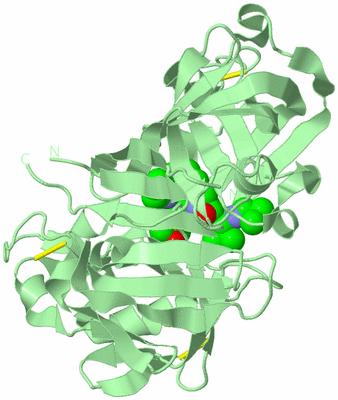 Image Biological Unit 2