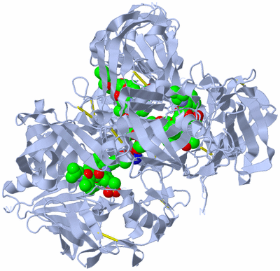 Image Biological Unit 3