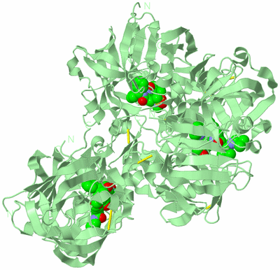 Image Biological Unit 4