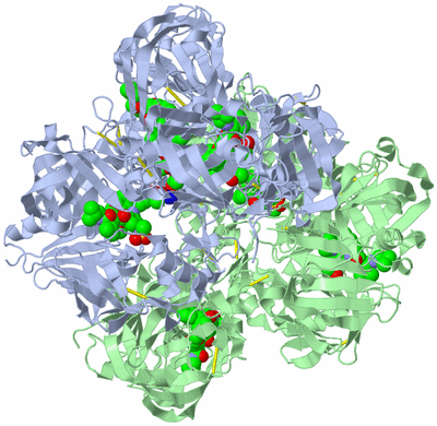 Image Biological Unit 5