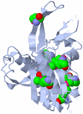 Image Biol. Unit 1 - sites