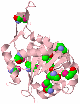 Image Biological Unit 3