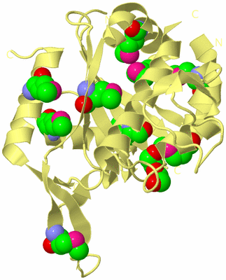 Image Biological Unit 4