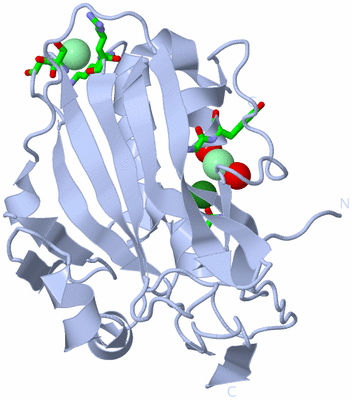 Image Biol. Unit 1 - sites