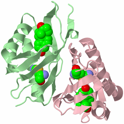 Image Biological Unit 2