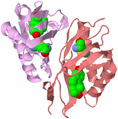 Image Biological Unit 3