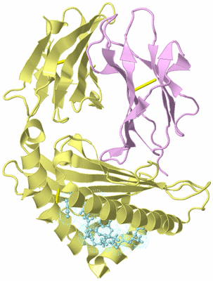 Image Biological Unit 2