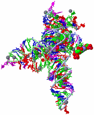 Image Biological Unit 3