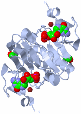 Image Biological Unit 1