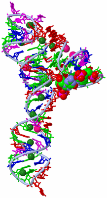 Image Biological Unit 1