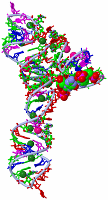 Image Biol. Unit 1 - sites