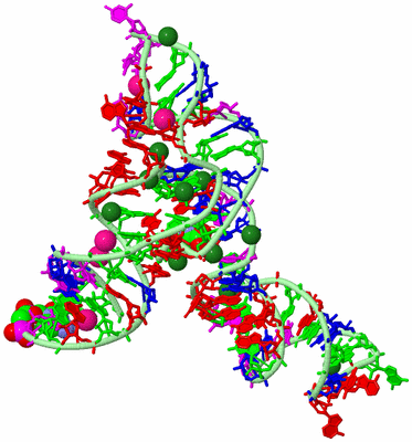 Image Biological Unit 2