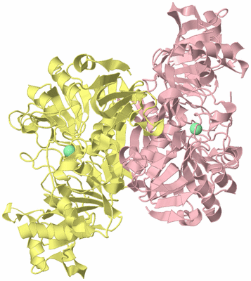 Image Biological Unit 2