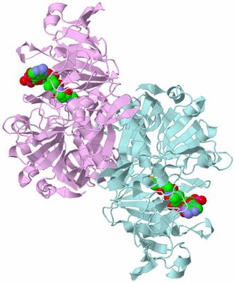 Image Biological Unit 3