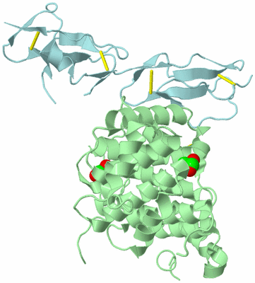 Image Biological Unit 1