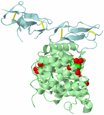 Image Biol. Unit 1 - sites