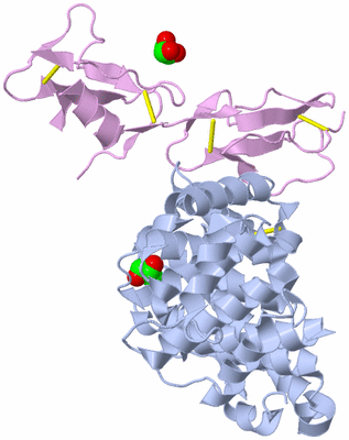 Image Biological Unit 2