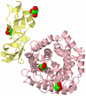 Image Biological Unit 3