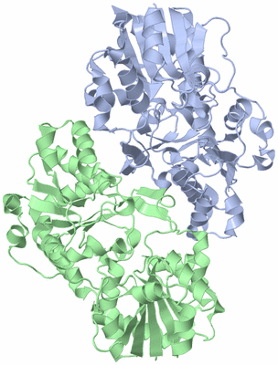 Image Asym./Biol. Unit