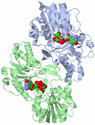 Image Asym./Biol. Unit