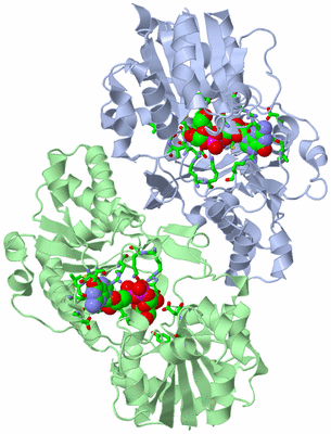 Image Asym./Biol. Unit - sites