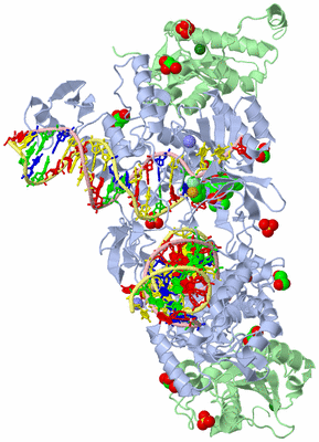 Image Biological Unit 1