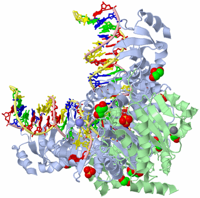 Image Biological Unit 1