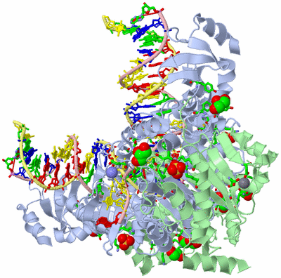 Image Biol. Unit 1 - sites