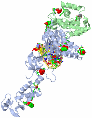 Image Asym. Unit - sites