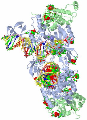 Image Biol. Unit 1 - sites