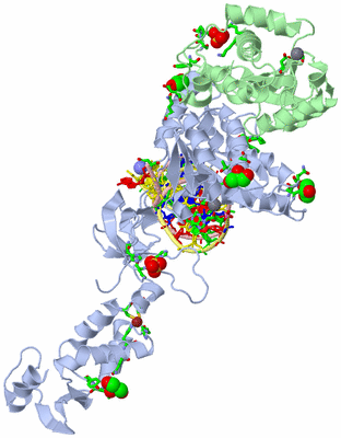 Image Asym. Unit - sites