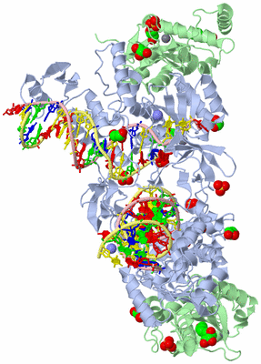 Image Biological Unit 1