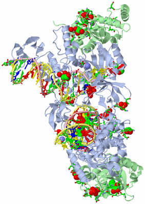 Image Biol. Unit 1 - sites