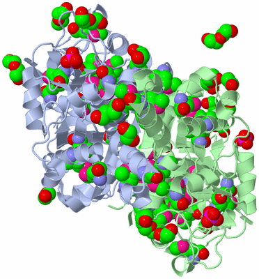 Image Asym./Biol. Unit