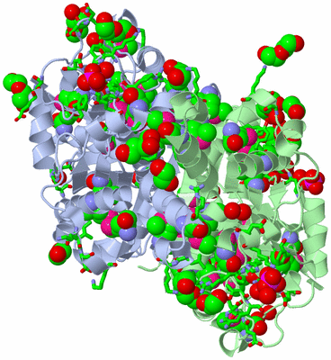 Image Asym./Biol. Unit - sites