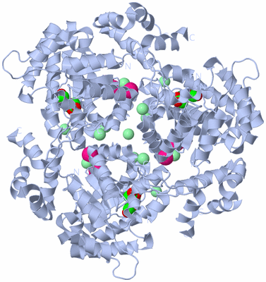 Image Biological Unit 1