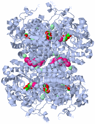 Image Biological Unit 2