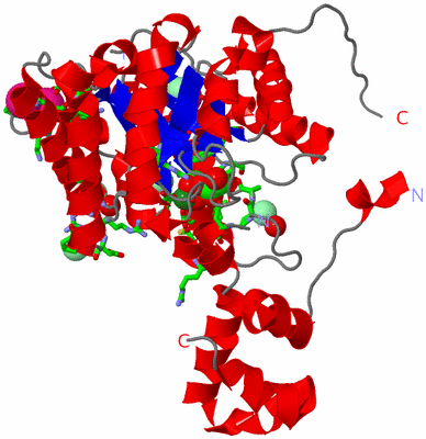 Image Asym. Unit - sites