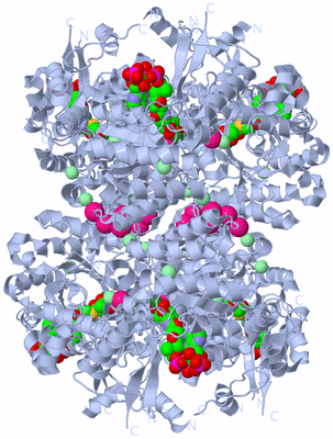 Image Biological Unit 2