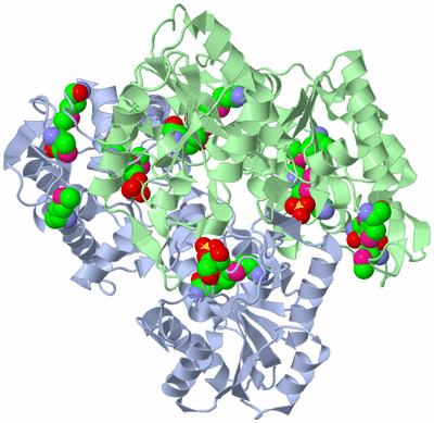 Image Biological Unit 1